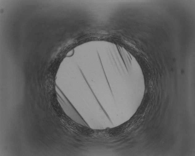 X0000062651447200601111139