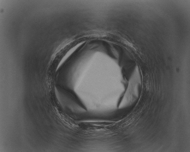 X0000062651448200601111139