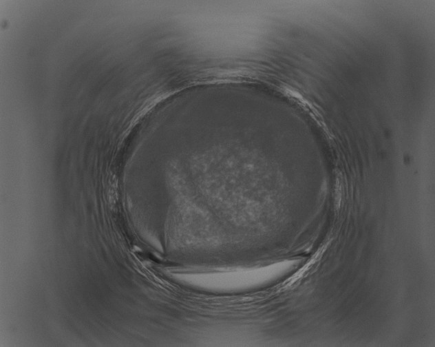 X0000062651449200601111139