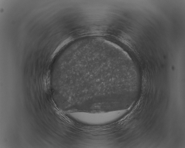 X0000062651450200601111139