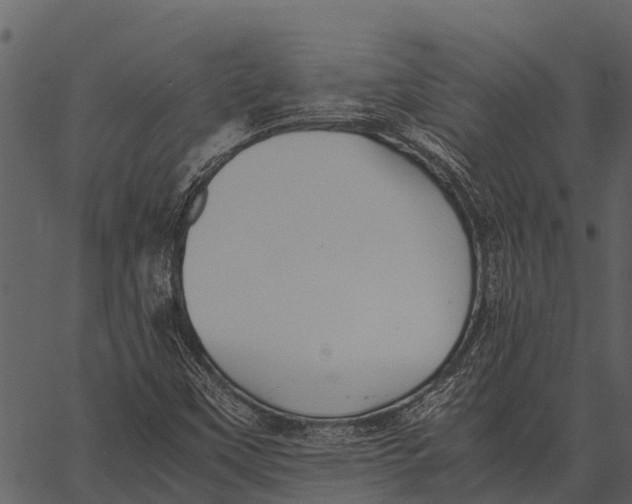 X0000062651451200601111139