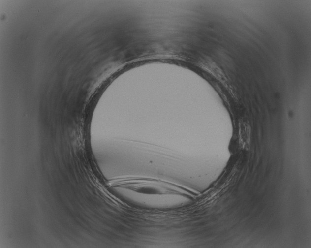 X0000062651452200601111139