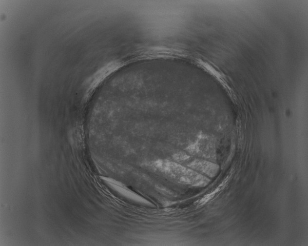 X0000062651453200601111139