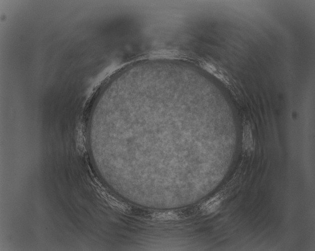 X0000062651454200601111139