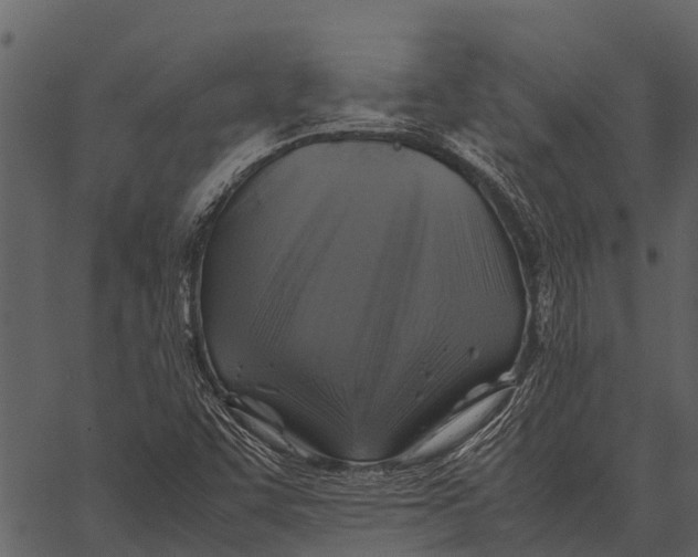 X0000062651455200601111139