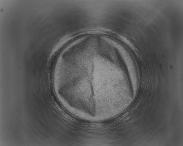 X0000062651456200601111139