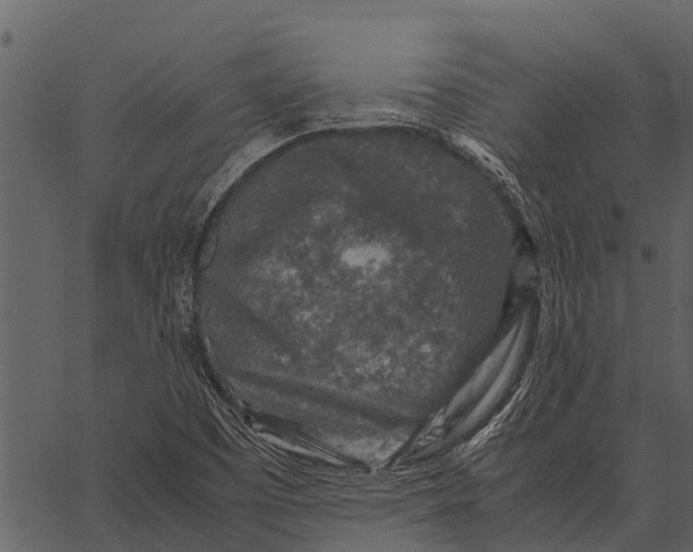 X0000062651457200601111139