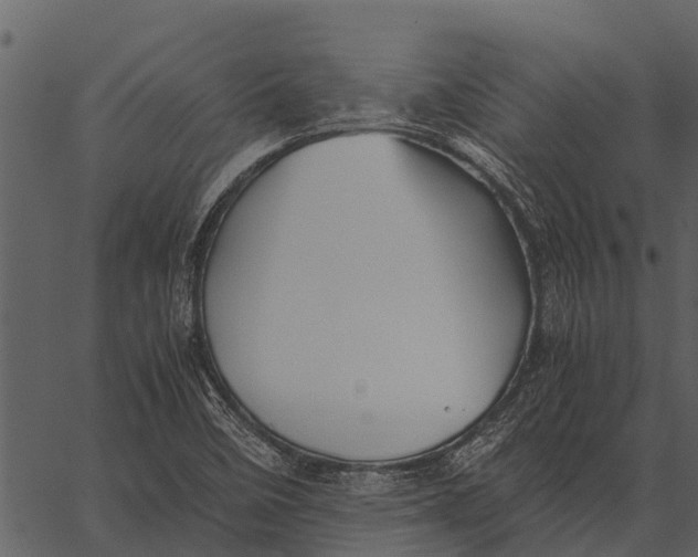 X0000062651458200601111139