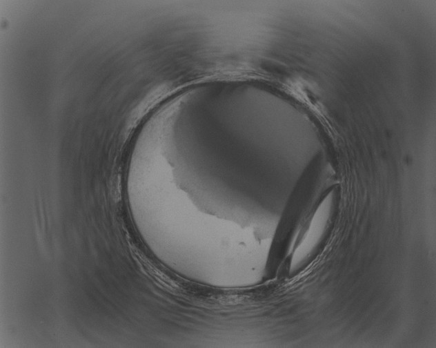 X0000062651459200601111139