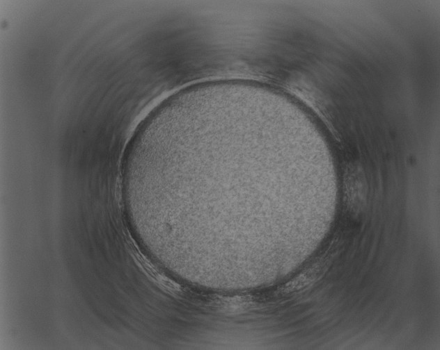 X0000062651460200601111139