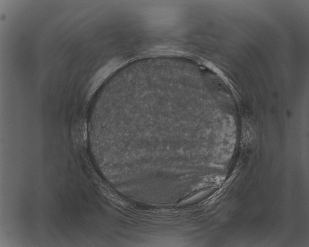 X0000062651461200601111139