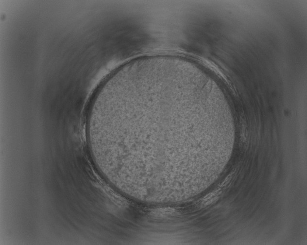 X0000062651462200601111139