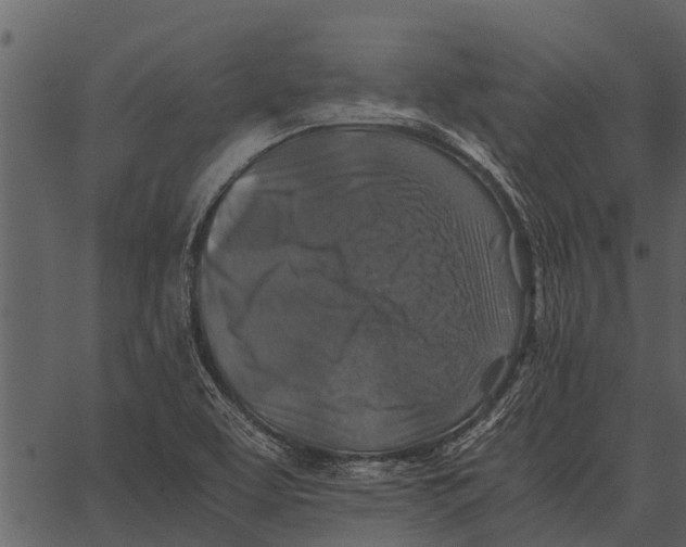 X0000062651463200601111139