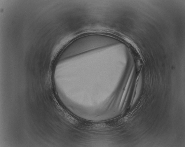 X0000062651464200601111139