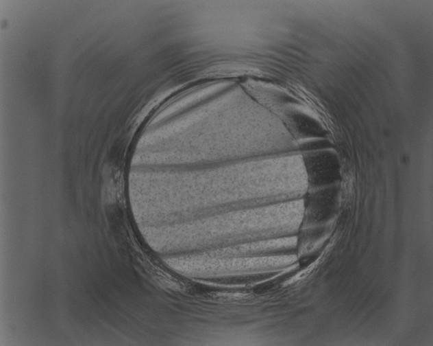 X0000062651465200601111139