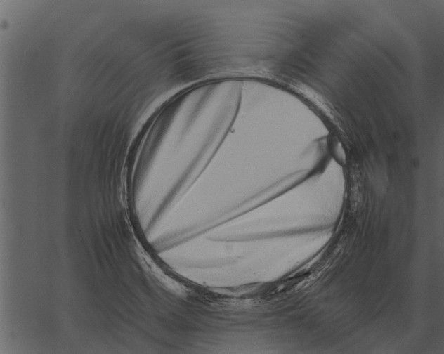 X0000062651468200601111139