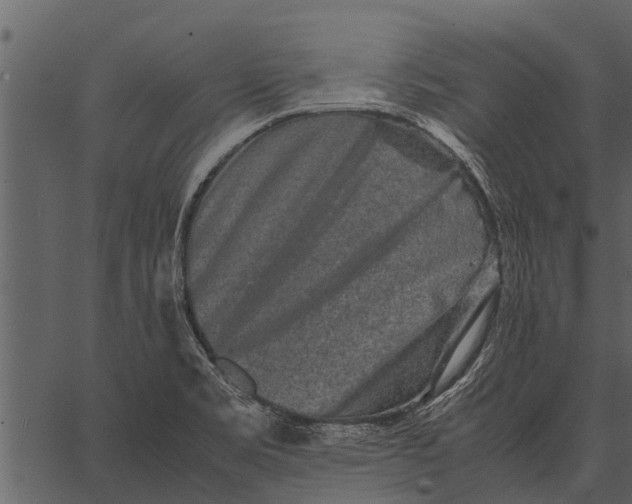 X0000062651469200601111139