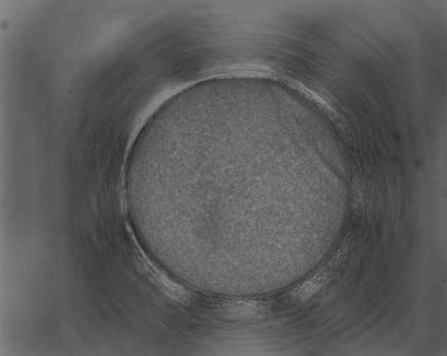 X0000062651470200601111139