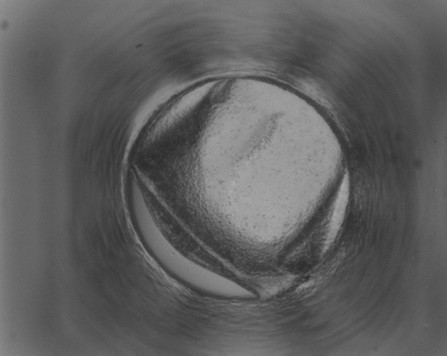 X0000062651472200601111139