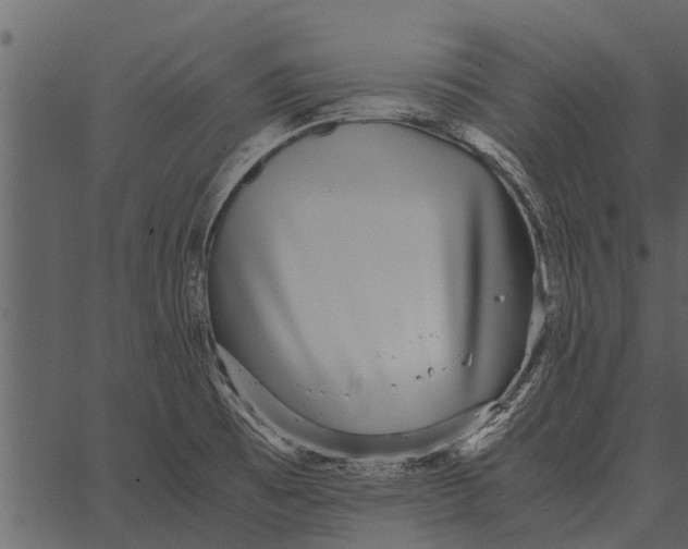 X0000062651473200601111139