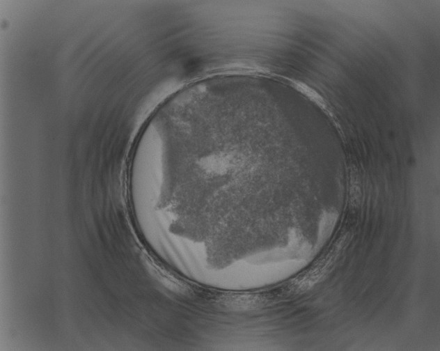 X0000062651474200601111139