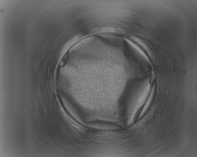 X0000062651475200601111139