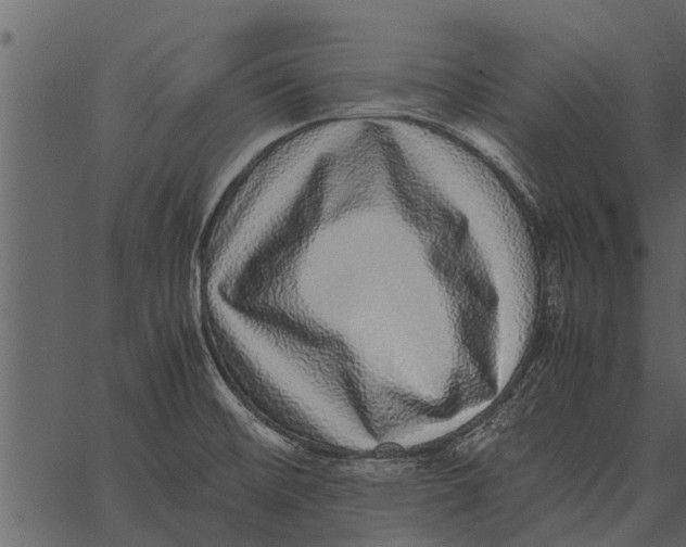 X0000062651476200601111139