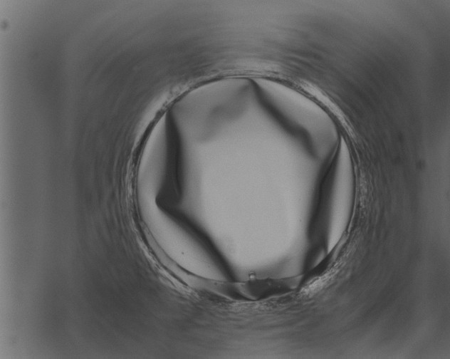 X0000062651477200601111139