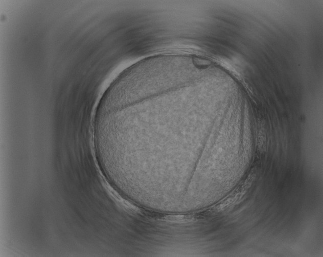 X0000062651478200601111139