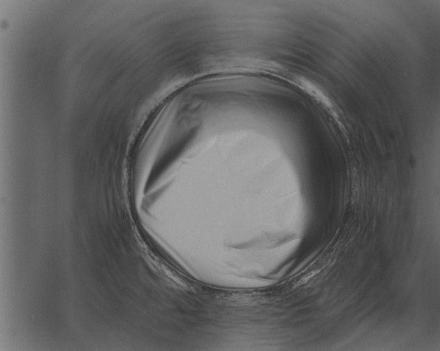 X0000062651480200601111139