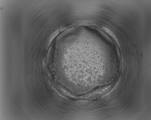 X0000062651481200601111139