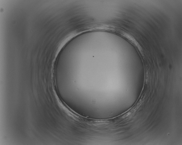 X0000062651483200601111139