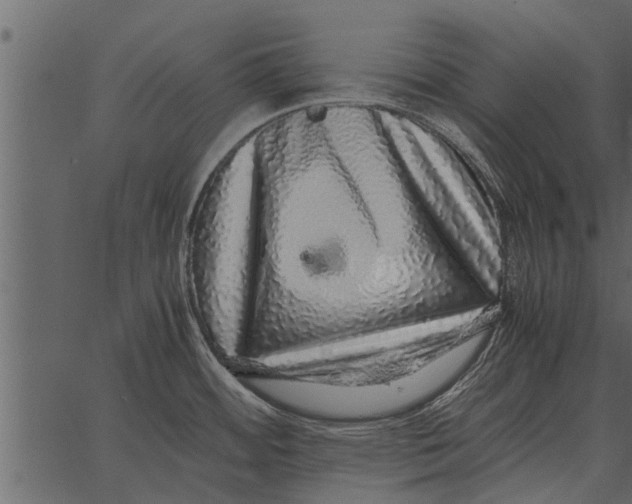 X0000062651484200601111139