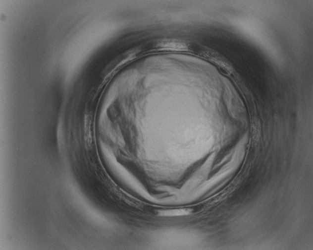 X0000062651487200601111139