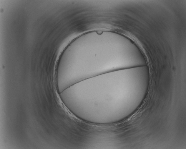 X0000062651488200601111139