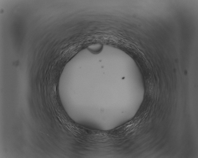 X0000062651489200601111138