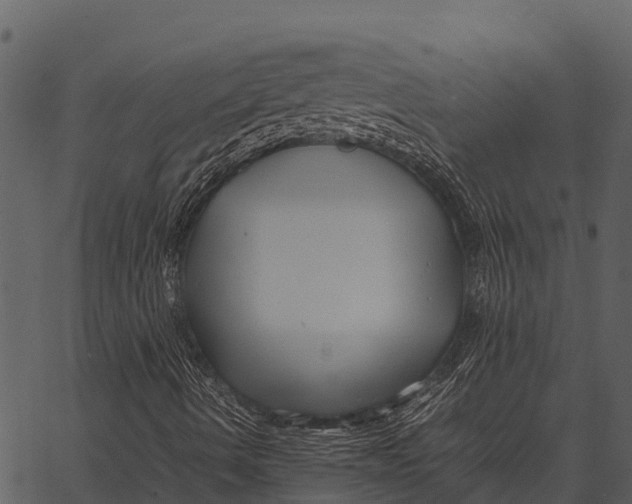 X0000062651490200601111138