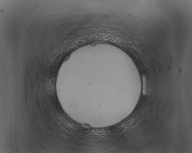 X0000062651491200601111138