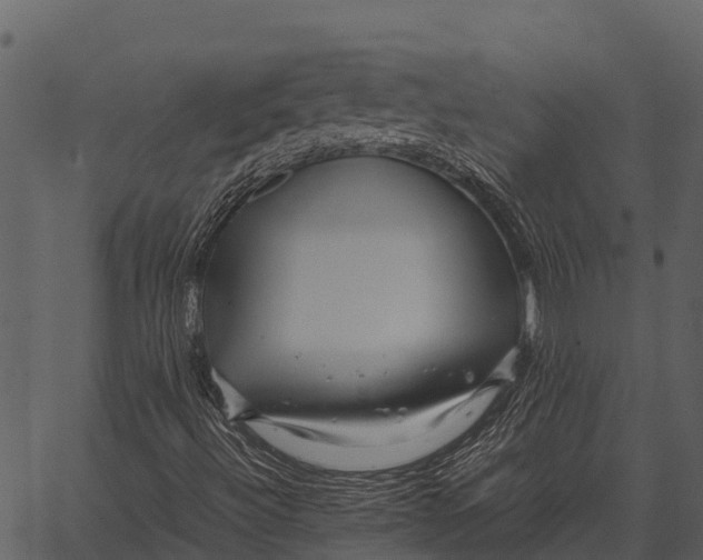 X0000062651492200601111138