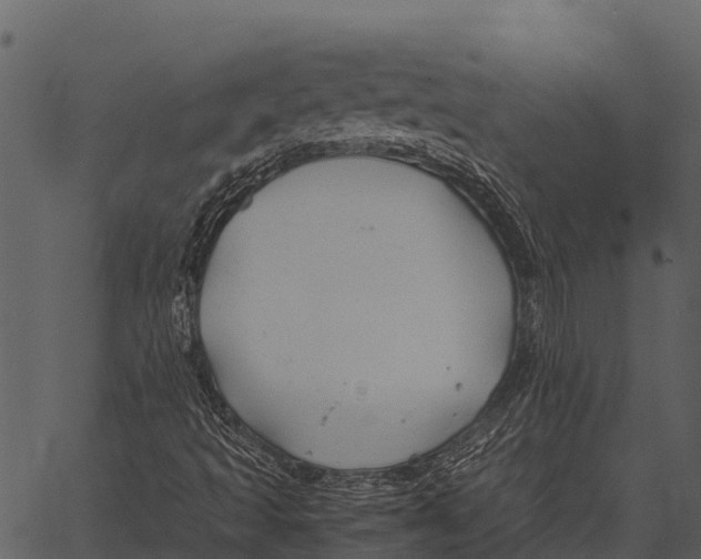 X0000062651493200601111138