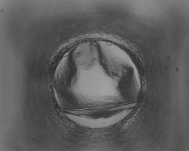 X0000062651494200601111138