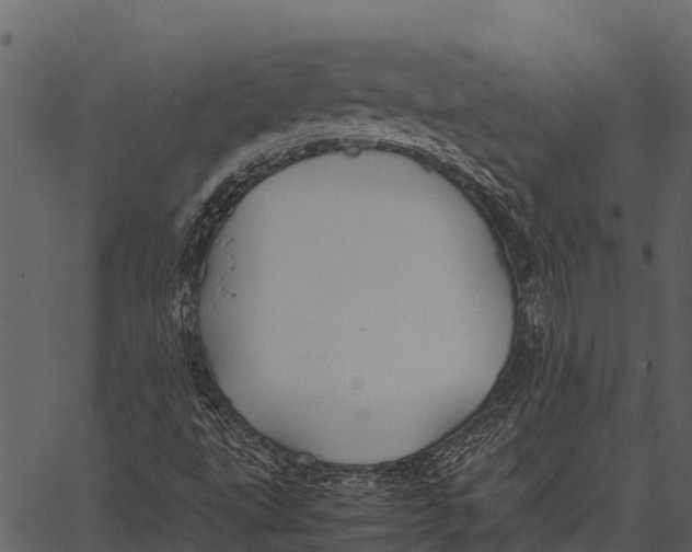 X0000062651495200601111138