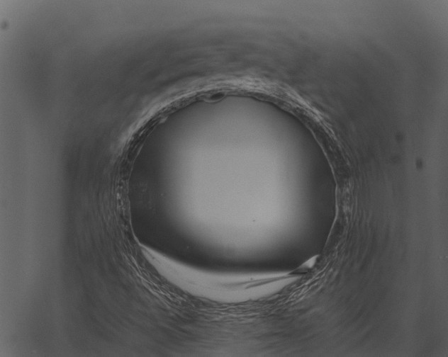 X0000062651496200601111138