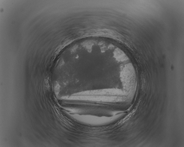 X0000062651497200601111138