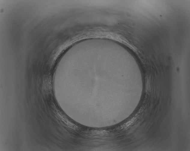 X0000062651498200601111138