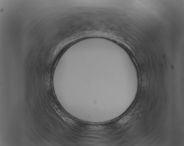 X0000062651499200601111138