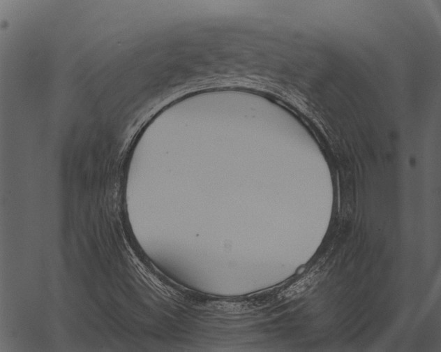 X0000062651500200601111138