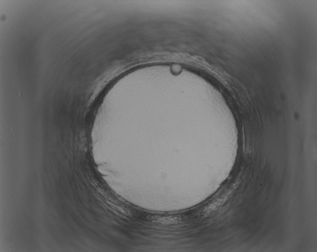 X0000062651501200601111138