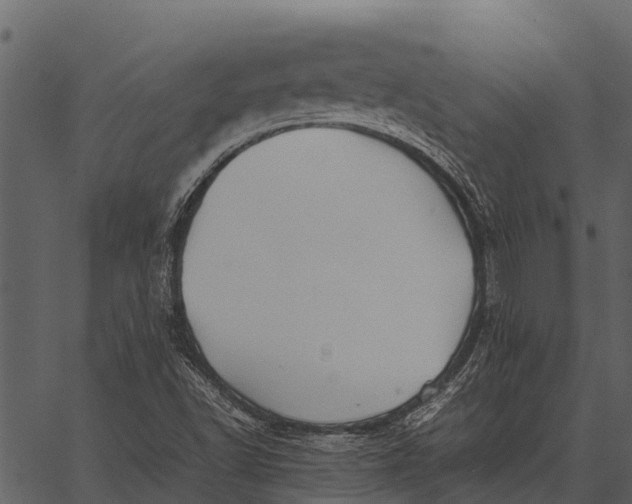 X0000062651502200601111138