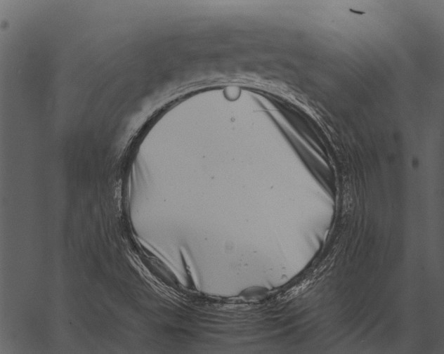 X0000062651503200601111138